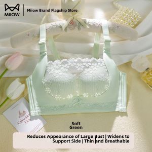 MiiOW | Lace Gather Small Bust Sag Prevention Side Fat Control French Bra
