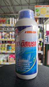 ช้างดิสเบรค ฮอร์โมนเบรกใบอ่อน ตัดใบขิง หมดปัญหาเรื่องใบอ่อนแซมดอก ไม่กระทบช่อดอกอีกทั้งยังช่วยส่งเสริมทำให้เกิดตาดอก ช่อดอกสมบูรณ์ ออกดอกได้เร็วอีกด้วย สินค้าคุณภาพจาก ช้างไทออน #เกษตรโครตดี #พร้อมส่ง #ส่งเร็วส่งไว