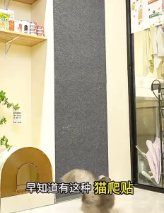 Cat Scratch Mat Cat Climbing Pad Cat Scratching Board Wear-resistant Multifunctional Wall Stickers