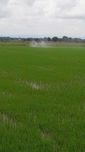 ดีน่านาโน อโทนิค อาหารเสริมพืช เร่งราก เร่งต้น เร่งดอก เร่งผล 2 ซอง #ของแท้100% #ลดต้นทุน #ลดปุ๋ย #เพิ่มผลผลิต #เกษรกรไทยยั่งยืน