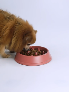[SG] Pet Feeder Dog Slow Feeder Bowl Anti-Choking Cat Feeding Bowl