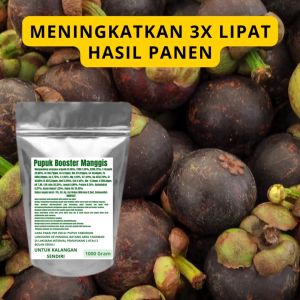 Pupuk Booster Manggis Pelebat Organik Cepat Berbuah Lebat Besar Anti Rontok Pembesar Manggis