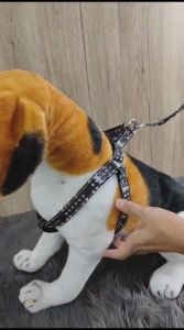 Pet Harness Leash Dog Cat / Tali Tuntun Anjing Kucing Polyester Motif
