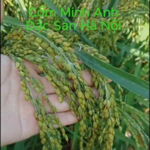 Sét quà cốm Hà Nội- Hương vị đặc sản Hà Nội