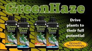 Growth Technology GreenHaze Bloom (Baja Hidroponik A dan B)