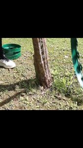 ขอบกั้นดินจัดสวน ขอบกันดิน ที่กันดินไหล กันหิน วัสดุ PE เป็นมิตรกับสิ่งแวดล้อม ทนทานใช้ได้จริง แถมตะปู