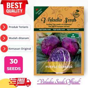 [Virladia Seeds] Biji Benih tanaman kol | kubis ungu