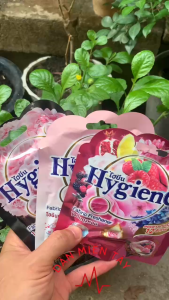 Túi Thơm Treo Tủ Hygiene 8g Hương Hoa Dịu Nhẹ – Khử Mùi Lưu Hương Lâu