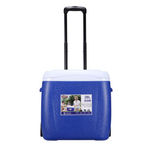 BAOLUOYOUXUAN | Car Home Portable Insulated Box Refrigerator