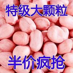 Freshly Picked Peeled Large White Kernel Peanuts