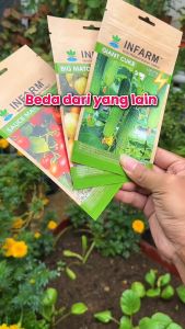 INFARM - Benih Bibit Biji Super Paprika Merah