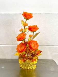 Cây kim tiền- Chậu hoa để bàn thờ cao 40-45cm