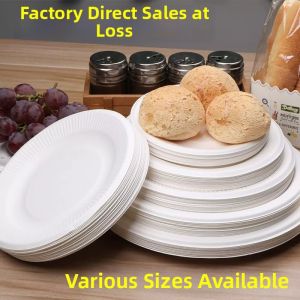 Disposible Round Dining Dishes