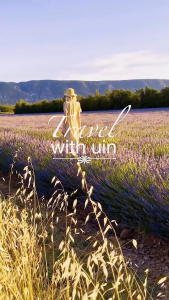 UIN Toledo I Womens Art Travel Shoes Canvas Flat Shoes Slip-on Loafers-Van Gogh Sunflowers