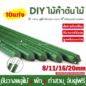 🍂DIY ประกอบอิสระ🍂 เสาไม้เลื้อย 10แท่ง กระกางต้นไม้ ไม้ค้ำต้นไม้ ท่อเหล็กPE หลักไม้เลื้อย เสาต้นไม้ ยาว 45-180 ซม. หนา 8-20 มม. ไม้ค้ำยันต้นไม้ ค้างต้นไม้ ซุ้มต้นไม้