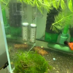 Lưới Lọc Ống Nước Inox Hiệu Quả Tiện Ích Đầu Bịt Tép Đa Năng Phổ Biến