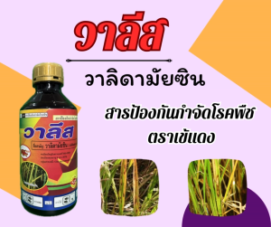 วาลีส สารวาลิดามัยซิน ขนาด 1 ลิตร สารป้องกันและกำจัดโรคพืชประเภทดูดซึม ใช้ได้ดีกับเชื้อรา ป้องกันโรคได้กลากหลาย