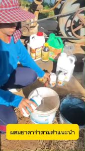 เทพสถิตย์ขนาด 2 กรัม + วัคซีนพืช ยาคาร่า อาหารเสริมพืชฉีดทางใบ ใช้ได้ 20 ไร่ ใช้ได้กับพืชทุกชนิด