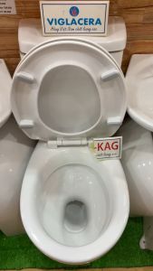 Nắp đậy bồn cầu Viglacera KAG-NAP25 nắp bàn cầu cao cấp dày nhựa trắng bóng cao cấp tuyệt đẹp