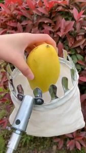 KEELAT Fruit Picker Tools Fruit Bag Hook Scythe Tooth Saw Nut Knife Cutter Accessories