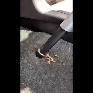 Xiaomi Cordless Vacuum Handheld Vacuum Cleaner ST-6622 69500PA High Suction Wiping & Absorbing Ground Brush Home