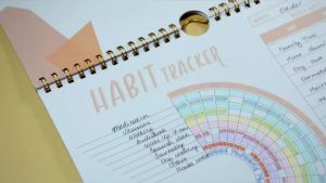 Habit Tracker Calendar Motivational Habit Tracking Journal Inspirational Goal Planner with Weekly Undated 12 Month Journal