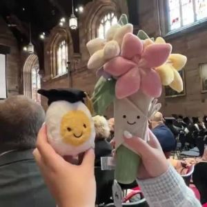 ช่อดอกไม้เจลลี่แคทสำหรับงานแต่งงาน ของเล่นตุ๊กตา ของขวัญวันเกิดที่สนุกสนาน