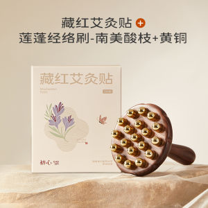 Initial Brass Meridian Brush Full Body Abdomen Massage Gua Sha Tool for Liver And Gallbladder Leg Care Personal Care Health