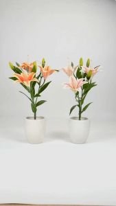 Bunga Lily Latex X3: Dekorasi Hiasan Hotel & Cafe