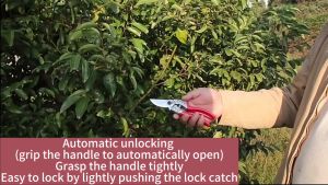 Japan Imported High Carbon Manganese Steel Pruning Scissors Fruit Tree Pruning Scissors Branch Pruning Scissors Strong Flower Trimming Scissors Horticultural Scissors Flower Garden Pruning Scissors