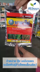 บาอาโน่ (ไตรไซคลาโซล 75% WP) 100กรัม ยกลัง สารป้องกันกำจัดเชื้อรา โรคใบไหม้ในนาข้าว ตราหวีทอง