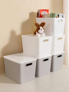 Maryya | Large Capacity Plastic Storage Box