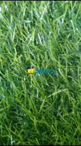 (1BIJI) JOYKO LEM STICK GS-118 (12GRAM)