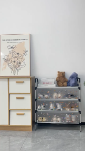 Rak Sepatu Susun Tertutup Anti Debu Rak Sepatu Sederhana Rak Penyimpanan Dengan Penutup