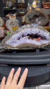 💯天然原矿原皮紫晶钱袋子 多层次结晶 双色玛瑙边-绿黄幽灵-紫晶-黄玛瑙-白水晶-紫晶👍 水晶体晶牙带有彩光🌈 全原石钱袋子"Natural raw amethyst money bag with original mineral skin featuring multi-layered crystallization. It has an agate edge with dual colors - green-yellow pha