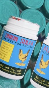 UNION SULFA Viên Dành Cho Gà Tiêu Chảy Và Các Bệnh Đường Ruột Nhanh Hiệu Quả Cho Gà Đá.Chuyên Tr.ị Gà Đi ỉa Phân Xanh Phân Trắng