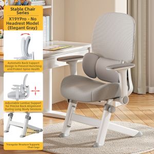 XIGE | Ergonomic Fixed Lumbar Support Office Chair