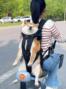 Lovinland Pet Dog Carrier Backpacks Adjustable HandsFree Front Carrier Puppy Cats Black Oxford Backpack Carrier for Medium Small Dogs Outdoor Travel and Motorcycle Dogs accessories