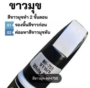 ปากกาแต้มสี ปากกาสำหรับลบรอยขีดข่วนบนรถยนต์ และมอเตอร์ไซค์ ใช้งานได้ 2 หัว ปากกาสีรถ