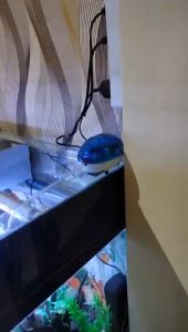 RISHENG Pompa Udara Aquarium Super Senyap