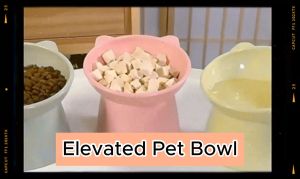 Double the Joy: Stylish Home Feeder Elevated Pet Bowls for Dogs and Cats - Buy 1 Get 1 Free! Elevate Their Dining Experience with Functional Design