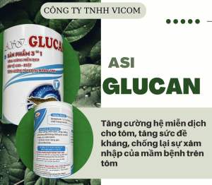 Tăng cường hệ miễn dịch - GLUCAN (Lon 500g) - sản phẩm chuyên dùng cho tôm Thẻ và Sú