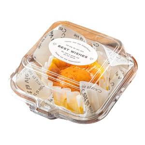 MEIDI | Square Clear Packaging Box for Slicing Cake Mousses Sandwiches Picnics