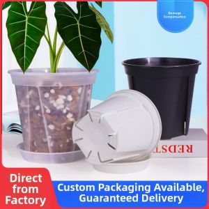 White Root Controlling Plant Pot