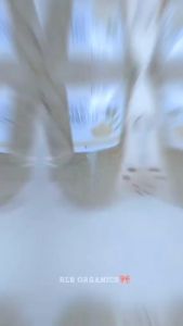 50 grams Organic Natural Pure Tawa-Tawa Powder - Pure Tawa Tawa Plant Powder Lowers Blood Pressure Anti-diuretic Antibacterial Increases Platelet Production - Organic Tawa Tawa Plant Powder for Dengue Fever Tawa Tawa Herbal Tea No Sugar Added Natural