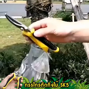 ✨ส่งจากไทย ✨กรรไกรตัดกิ่งไม้ ตัดพุ่มไม้ กรรไกรตัดดอก อุปกรณ์ทำสวน บ้านและสวน Pruning shears เครื่องมือเครื่องตัดแต่งสวน กรรไกรตัดผลไม้ ก้านหนาตัดแต่ง