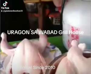 Meat Marinate Injector (5L LOTUS)