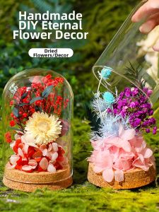 DIY Dried Flower Material Kit Glass Dome Decor
