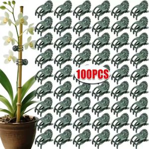 50/100Pcs Orchid Fixing Support Clip Flower Stem Tied Bundle Branch Fruit Vegetable Vine Plant Clamp for Climbing Grafting Garden Tool