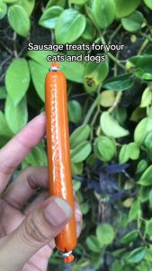 15g Hotdog Pet Dog Cat Sausage Pet Food Snack Treats Hotdog
